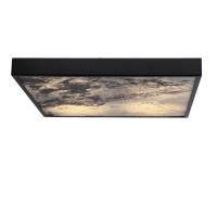 Потолочный светильник Candellux LUXAN (10-17062)