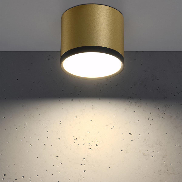Точковий світильник Candellux TUBA Gold and Black (2275956) , 100025532