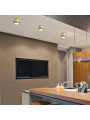 Точковий світильник Candellux TUBA Gold and Black (2275956) , 100025532