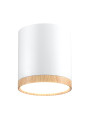 Точечный светильник Candellux TUBA White (2273624), 100025342