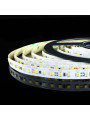 Светодиодная лента Mi-light 2835-120 6000K DC 12V негерметичная (MI-LED-S120СW-1220-R), 100022558