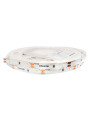 Светодиодная лента RISHANG 60-2835-12V-IP33 6W 78Lm Blue 5м (RD0860TA-B-B), 100022360