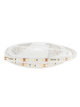 Світлодіодна стрічка RISHANG 60-2835-12V-IP67 5,5W 400Lm 3000К 5м (RN3060TA-B-WW) , 100022436
