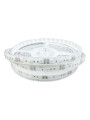 Светодиодная лента RISHANG 60-5050-12V-IP67 13,2W RGB 5м (RD3260AQ-RGB), 100022382