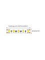 Светодиодная лента COLORS 2835-120-24V-IP20 9.6W 700Lm 3000K 20м (DJS120-24V-8mm-WW_20), 100028314