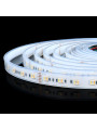 Светодиодная лента Mi-light 60-5050-24V-IP65 24W 720Lm RGB+2700+6500К 5м (MI-LED-RGBW60CCT2465U-RGB-WW-CW), 100021192