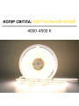 Світлодіодна стрічка OEM ST COB-320-24V-IP33 10W 1290Lm 4000-4500K 10м (ST-24-8-COB-320-NW) , 100027341