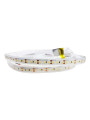 Светодиодная лента RISHANG 120-2835-24V-IP67 8,6W 630Lm 3000К 5м (RN32C0TC-B-WW), 100022423