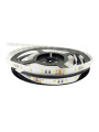 Светодиодная лента RISHANG 60-2835-24V-IP20 12W 956Lm 3000К 5м (RN0060TC-A-WW), 100022406