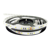 Светодиодная лента RISHANG 60-2835-24V-IP20 12W 956Lm 4000К 5м (RN0060TC-A-NW)