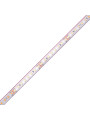 Термостійка стрічка COLORS 3030-80-24V-IP65 4.8W 607Lm 2700K 5м (DS980-24V-10mm-IP65-SW) , 100028284