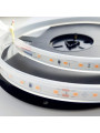 Термостойка стрічка COLORS 80-3030-24V-IP65 5W 745Lm 4000K 5м (DS980-24V-10mm-IP65-NW) , 100022276