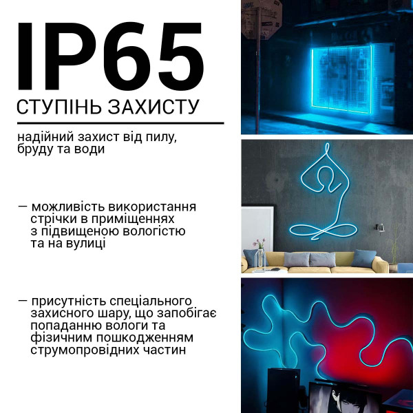 Світлодіодний NEON BIOM PROFESSIONAL BNSP-24-511-2835-120-IB-1 IP65 Ice blue, 1м
