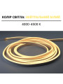 Світлодіодний NEON BIOM PROFESSIONAL BNSP-24-511-2835-120-NW-1 IP65 нейтральний білий, 1м
