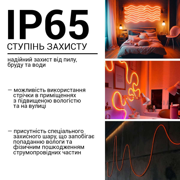 Світлодіодний NEON BIOM PROFESSIONAL BNSP-24-511-2835-120-O-1 IP65 orange, 1м