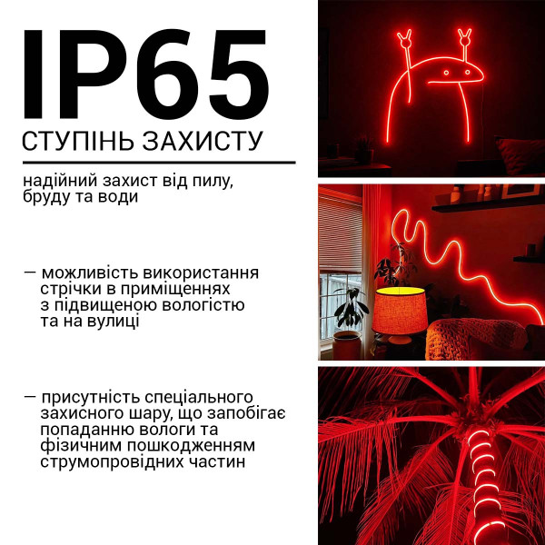 Світлодіодний NEON BIOM PROFESSIONAL BNSP-24-511-2835-120-R-1 IP65 червоний, 1м