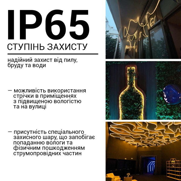 Світлодіодний NEON BIOM PROFESSIONAL BNSP-24-511-2835-120-WW-1 IP65 теплий білий, 1м