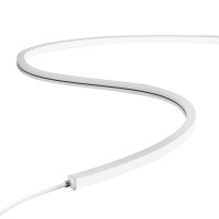 Гнучкий неон COLORS 24V IP65 8.8W 581Lm 5500K 5м (NJT1010-DW)
