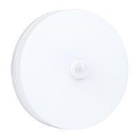 Накладной светильник Biom BY 220V 24W 5000K 2150Lm IP33 Матовый (Frosted) (BYR-04-24-5-IR)
