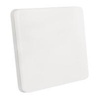 Накладной светильник Biom BY 220V 48W 5000K 4320Lm IP33 Матовый (Frosted) (BYS-01-48-5)