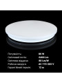 Накладной светильник Biom DECOLIGHT 220V 80W 5000K 6400Lm IP20 Матовый (Frosted) (DL-R102-80), 100023380