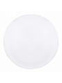 Потолочный светильник Biom DL 230V 30W 5000K IP20 без д/у (DL-R106-30-5), 100023909
