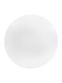 Накладной светильник Biom DECOLIGHT 220V 10W 6200K 810Lm IP20 Матовый (Frosted) (DL-R401-10-6), 100022082
