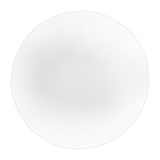 Накладной светильник Biom DECOLIGHT 220V 24W 6200K 1920Lm IP20 Матовый (Frosted) (DL-R401-24)