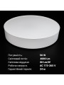 Накладной светильник Biom SMART 220V 50W 3000-6000K 4000Lm IP20 Матовый (Frosted) (SML-R43-50/2), 100023841