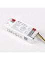 Контролер Mi-light tunable white W+CCT 2 в 1 12А 2,4G RF DC12/24V (E2-RF) , 100024041