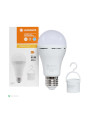 Світлодіодна лампа LEDVANCE LED Classic з акумулятором A60 8W 806Lm 6500K 230V E27 Матовий (Frosted) (4099854102431) , 100024082