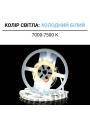 Світлодіодна стрічка BIOM Professional 2835-60-12V-IP20 5,8W 700Lm 7500-8000К S-type 5м (BPS-G3-12-S-2835-60-CW-20) , 100020325