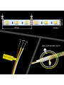 Світлодіодна стрічка Mi-light 5050-60 Dual White LED Strip 12V, негерметична (MI-LED-DW60CCT1220) , 100014041