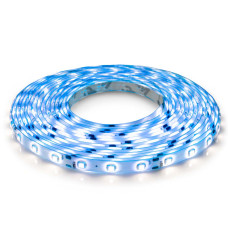 Светодиодная лента OEM ST 60-2835-12V-IP65 4,8W 300Lm Blue 5м (ST-12-2835-60-B)