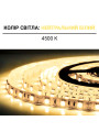 Світлодіодна стрічка OEM ST 5050-60-24V-IP20 14,4W 900Lm 4000-4500K 5м (ST-24-5050-60-NW-V2) , 100015428