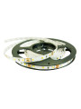 Світлодіодна стрічка RISHANG 60-2835-12V-IP20 5,5W 530Lm 6500К 5м (RN0860TA-B-W) , 100022409